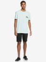 Quiksilver Everyday Chino Shorts