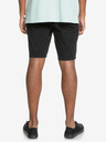 Quiksilver Everyday Chino Shorts