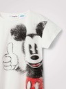 Desigual Ok Mickey Kinderkleider