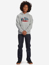 DC Jahmir Sweatshirt Kinder