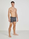 ZOOT.lab Boxer-Shorts