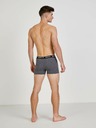 ZOOT.lab Boxer-Shorts