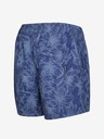 ALPINE PRO Clairem Shorts