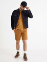 Celio Bochinobm Shorts