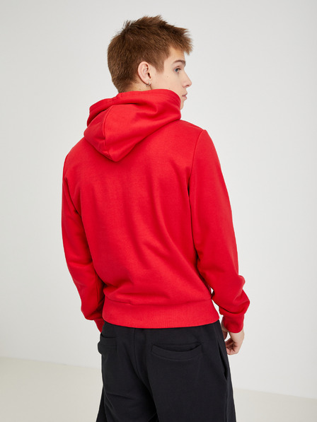 Diesel Diesel Roter Herren-Kapuzenpullover