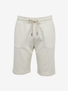 ZOOT.lab Jordan Shorts