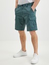 O'Neill Dunkelgrüne O'Neill Shorts für Herren