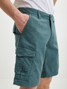 O'Neill Dunkelgrüne O'Neill Shorts für Herren