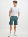 O'Neill Dunkelgrüne O'Neill Shorts für Herren