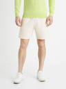 Celio Donewshort Shorts