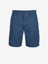 O'Neill Beach Break Cargo Shorts