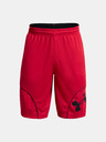 Under Armour UA Perimetr 11'' Shorts