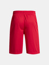 Under Armour UA Perimetr 11'' Shorts