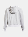 Under Armour Essential Script Hoodie Sweatshirt