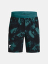 Under Armour Project Rock Printed Wvn Shorts