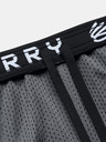 Under Armour Curry Splash 9'' Shorts