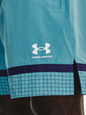 Under Armour UA Acc Woven Shorts