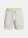 Under Armour UA Run Anywhere Shorts