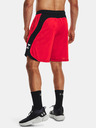 Under Armour UA Heatwave Hoops Shorts