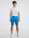 Tommy Hilfiger Harlem 1985 Shorts