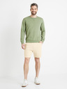 Celio Toshort Shorts