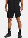 Under Armour UA Baseline 10'' Shorts