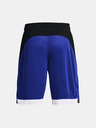 Under Armour UA Baseline 10'' Shorts