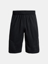 Under Armour UA Perimetr 11'' Shorts