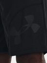 Under Armour UA Perimetr 11'' Shorts