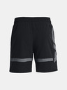 Under Armour UA Baseline Woven Short II Shorts