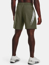 Under Armour UA Woven Graphic Shorts