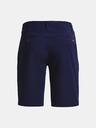 Under Armour UA Drive Taper Shorts