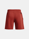 Under Armour Project Rock Terry Gym Shorts