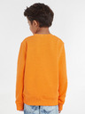 Calvin Klein Jeans Sweatshirt Kinder