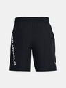 Under Armour UA Ev Corev Woven Shorts