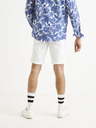 Celio Mohitobm Shorts