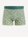 Celio Gibobank Boxer-Shorts