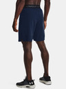 Under Armour UA Vanish Woven 8in Shorts