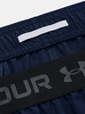 Under Armour UA Vanish Woven 8in Shorts