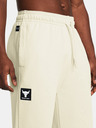 Under Armour Project Rock Hwt Terry Jogginghose