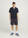 Jack & Jones Aaron Hemd