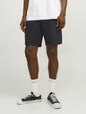 Jack & Jones Ace Shorts