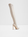 Aldo Nassia Boots