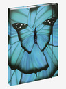 BAAGL  Ergo Butterfly II School Set
