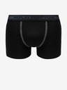 Replay Zweier-Set Boxershorts in Schwarz und Grau von Replay