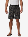 Columbia Silver Ridge Shorts Columbia