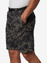 Columbia Silver Ridge Shorts Columbia