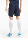 Puma Dunkelblaue Herren-Sportshorts Puma Team Goal