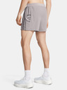 Under Armour Herren Under Armour UA RUN ANYWHERE SHORTS